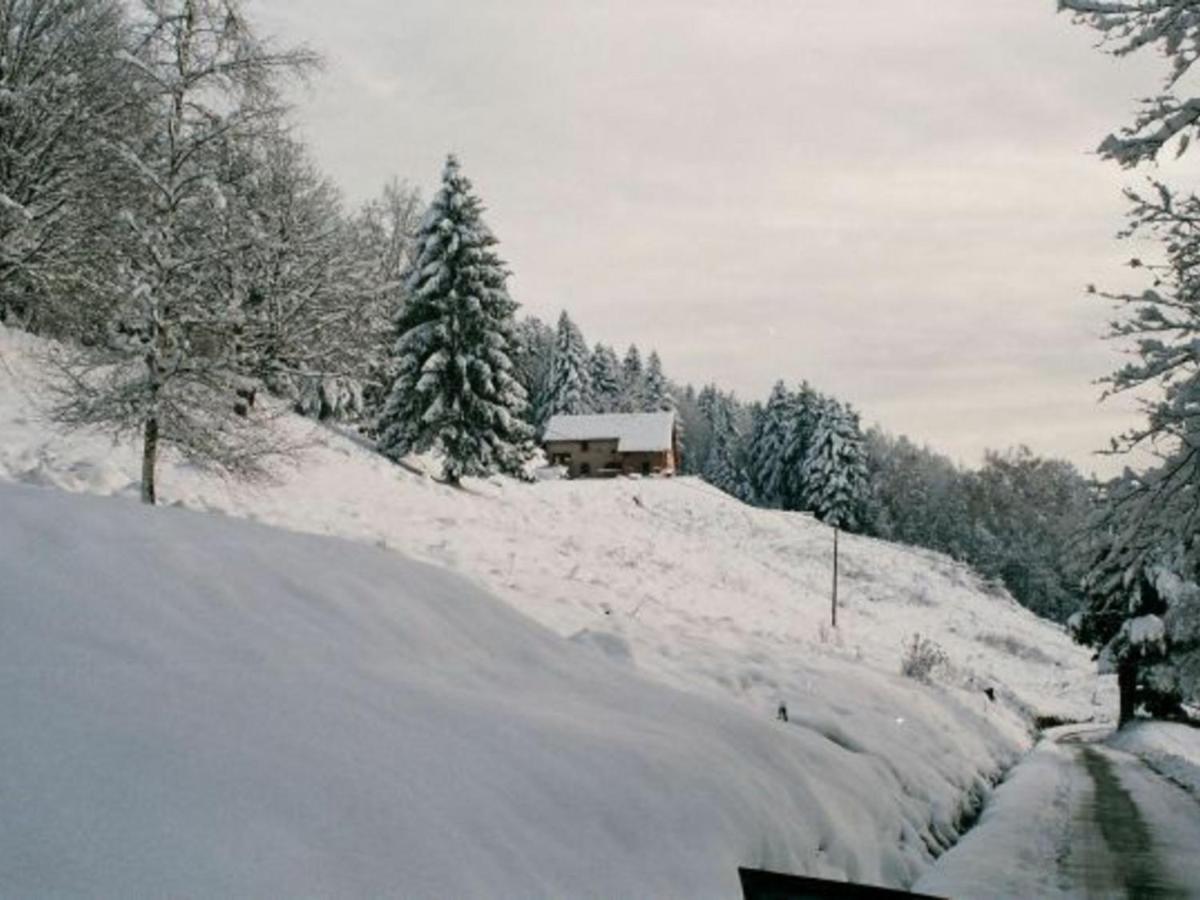 Gite Spacieux, Confort Moderne, 8 Pers, Terrasse Privative, Animaux Admis, Wifi - Fr-1-589-227 Vagney Eksteriør billede