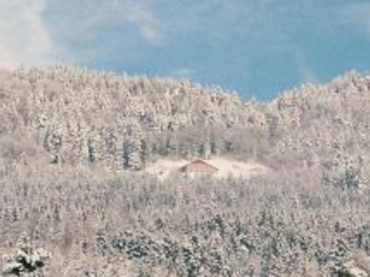 Gite Spacieux, Confort Moderne, 8 Pers, Terrasse Privative, Animaux Admis, Wifi - Fr-1-589-227 Vagney Eksteriør billede