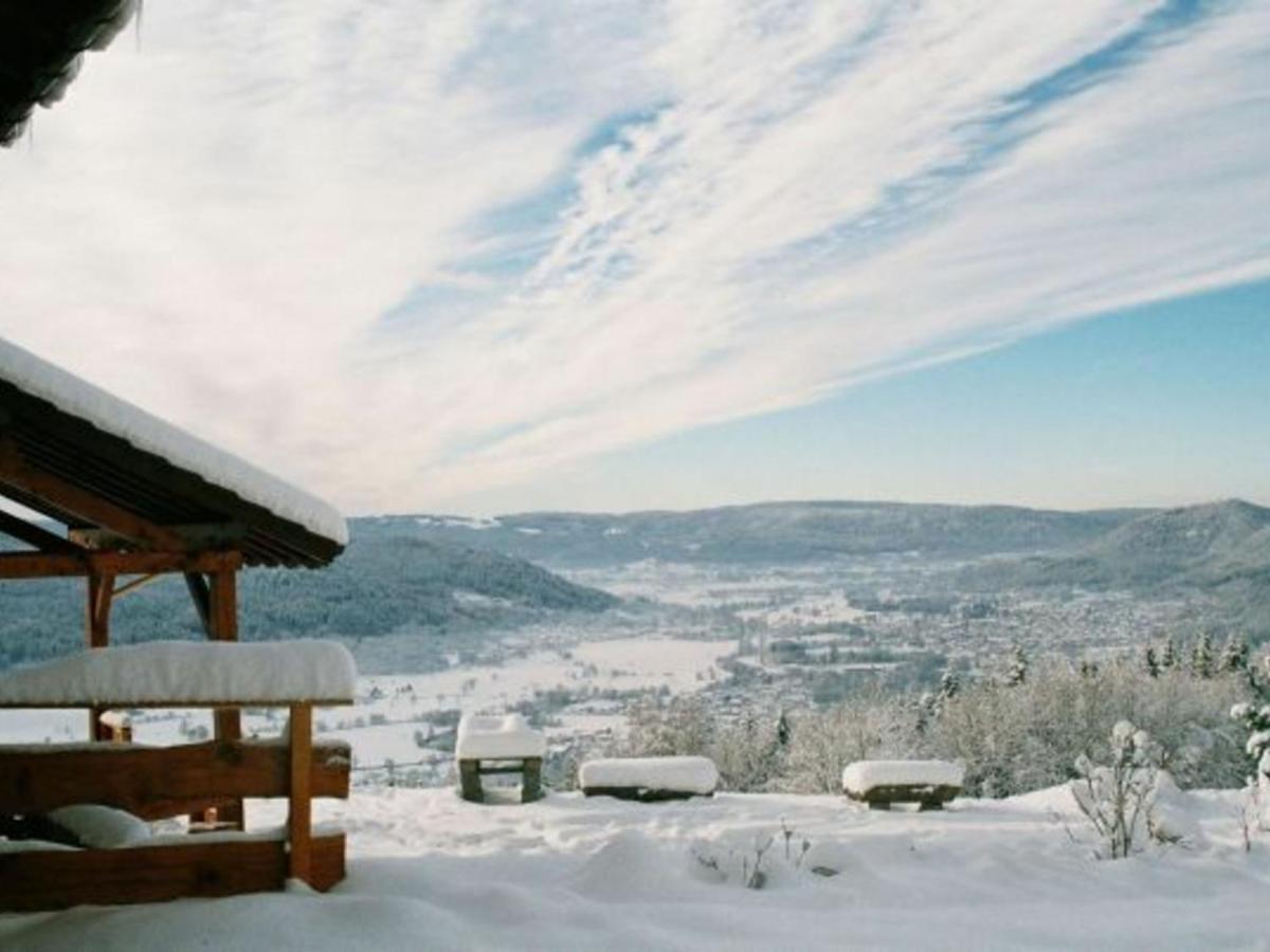 Gite Spacieux, Confort Moderne, 8 Pers, Terrasse Privative, Animaux Admis, Wifi - Fr-1-589-227 Vagney Eksteriør billede