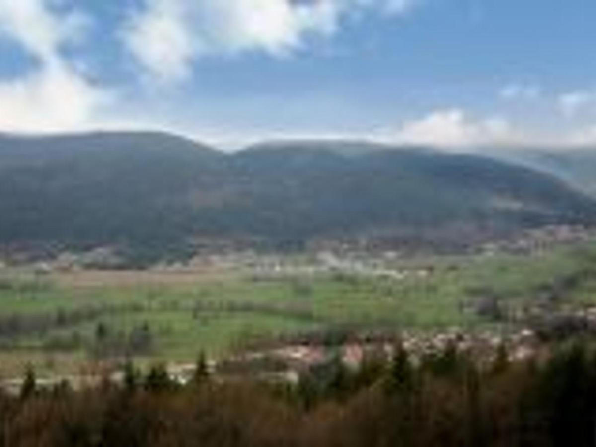 Gite Spacieux, Confort Moderne, 8 Pers, Terrasse Privative, Animaux Admis, Wifi - Fr-1-589-227 Vagney Eksteriør billede