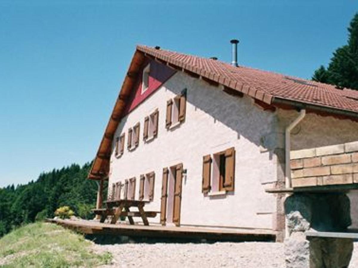 Gite Spacieux, Confort Moderne, 8 Pers, Terrasse Privative, Animaux Admis, Wifi - Fr-1-589-227 Vagney Eksteriør billede