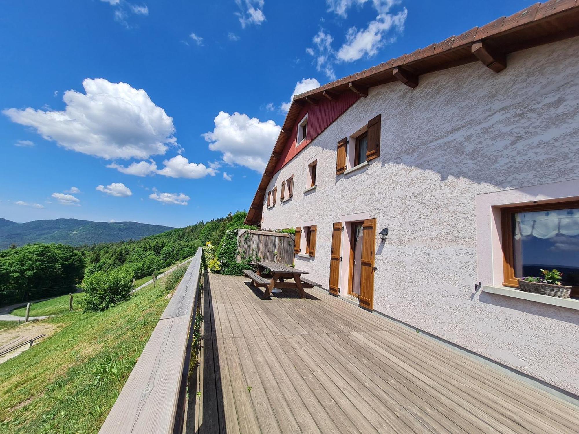 Gite Spacieux, Confort Moderne, 8 Pers, Terrasse Privative, Animaux Admis, Wifi - Fr-1-589-227 Vagney Eksteriør billede